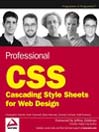 Professional CSS